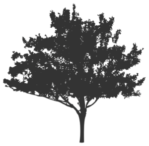 Park Loft tree logo in dark gray